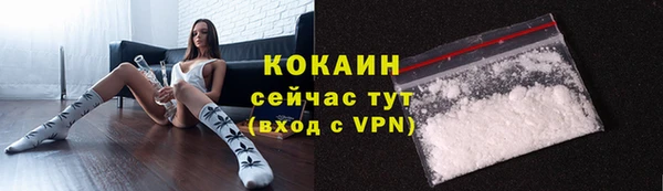 кокс Арсеньев