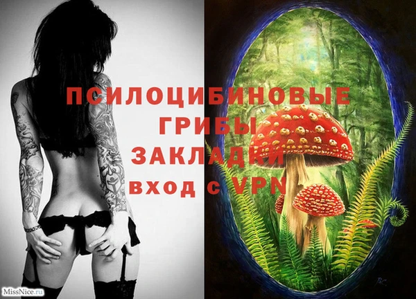 a pvp Армянск