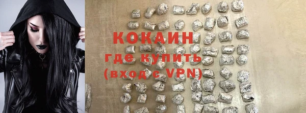 кокс Арсеньев