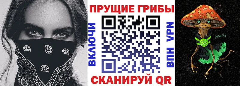 как найти   Сухиничи  Галлюциногенные грибы мицелий 